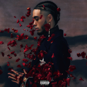 欧美熟妇后入式啪啪
