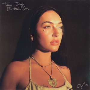 欧美熟妇后入式啪啪
